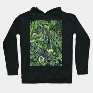 Urban Jungle Illustration 1 Hoodie